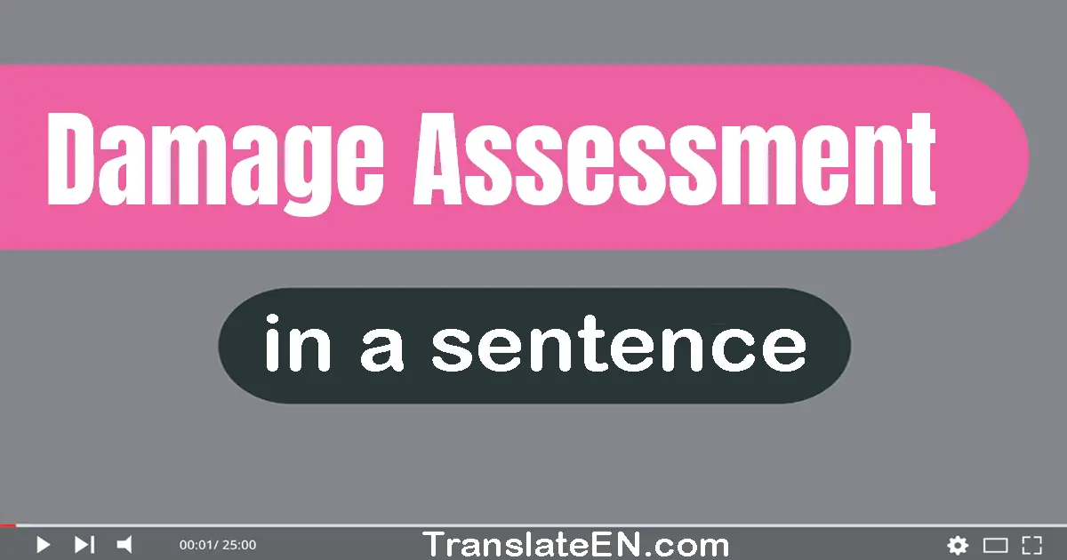 Damage Assessment in a sentence