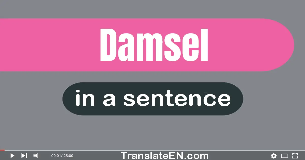 Damsel in a sentence