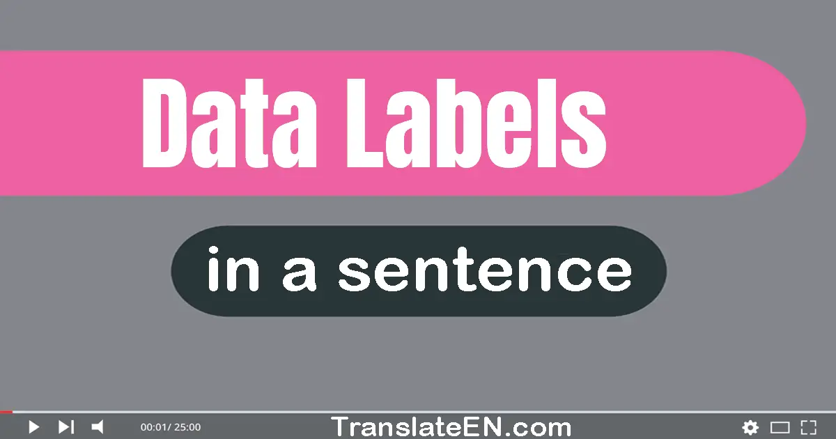 Use "data labels" in a sentence | "data labels" sentence examples