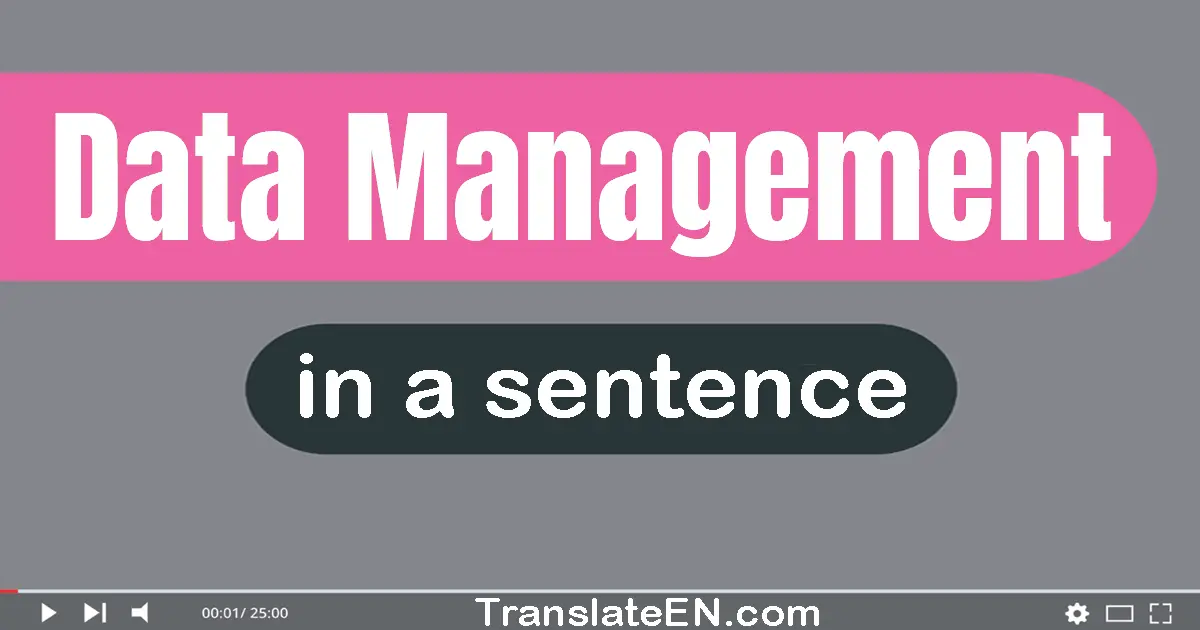 Use "data management" in a sentence | "data management" sentence examples