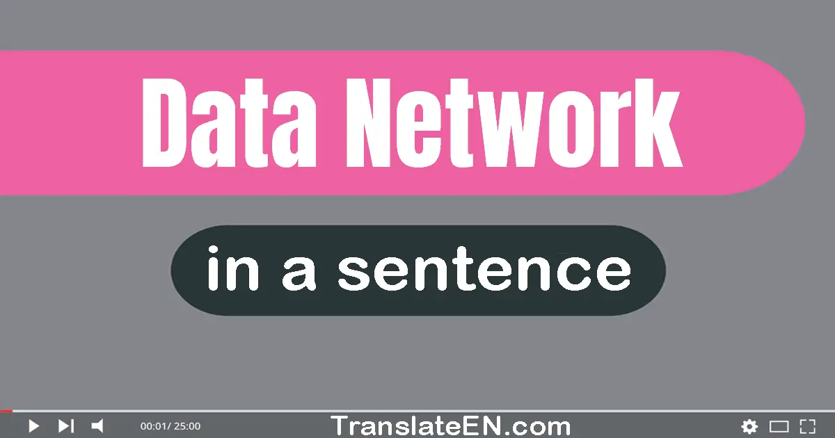 Use "data network" in a sentence | "data network" sentence examples