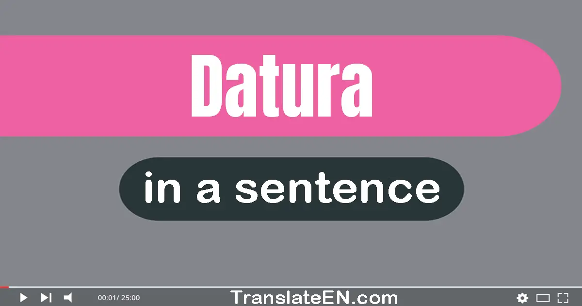 Datura in a sentence