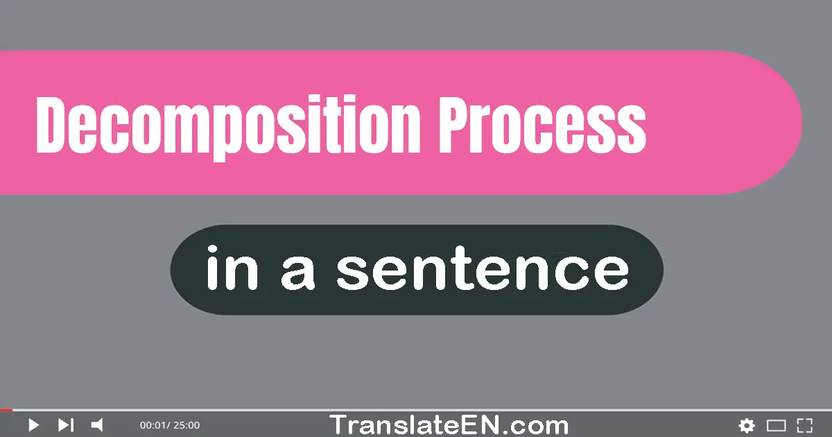 Use "decomposition process" in a sentence | "decomposition process" sentence examples