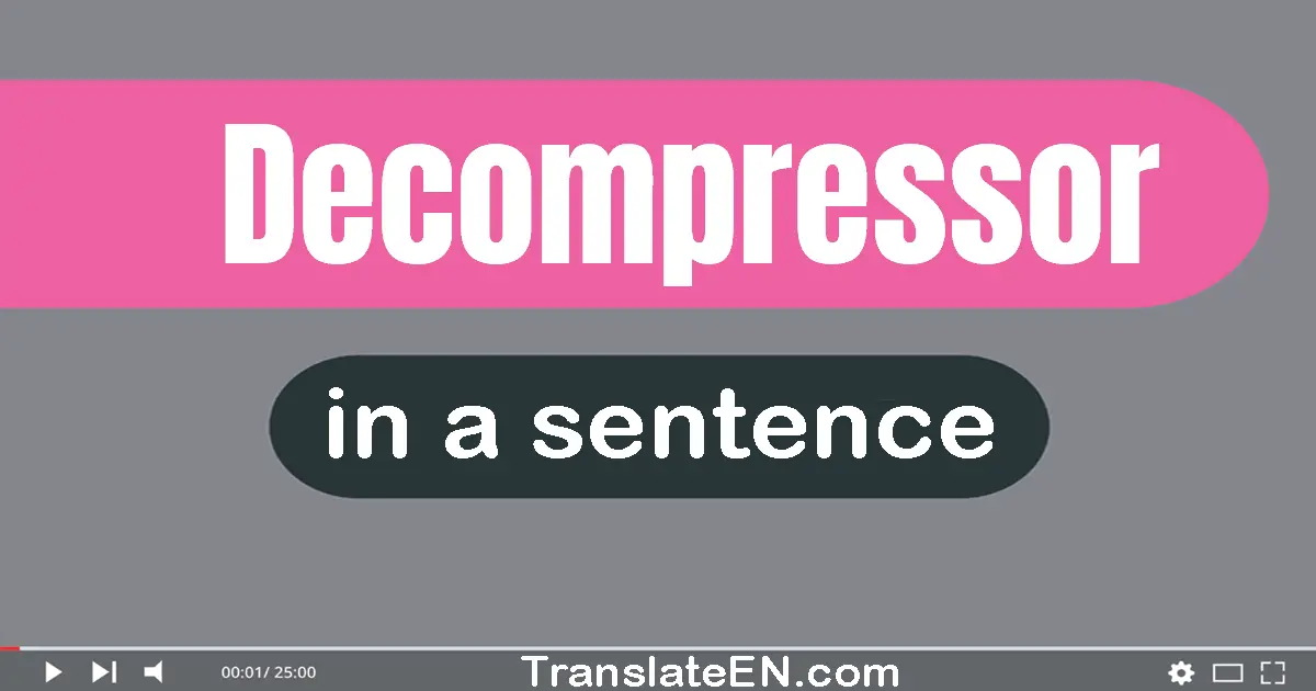 Use "decompressor" in a sentence | "decompressor" sentence examples