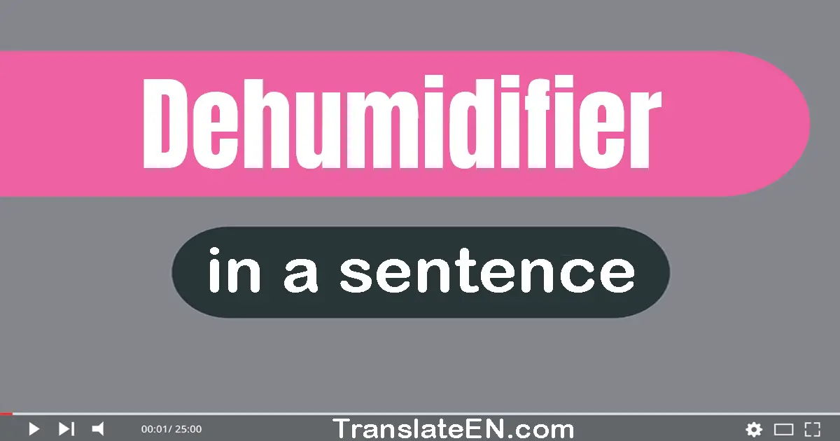 Use "dehumidifier" in a sentence | "dehumidifier" sentence examples