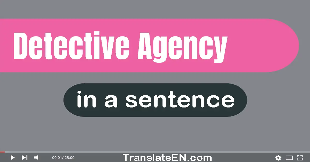 Use "detective agency" in a sentence | "detective agency" sentence examples