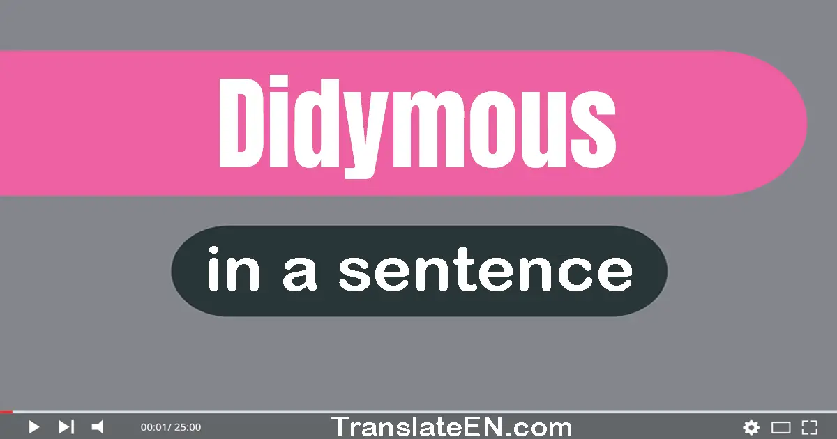 Didymous in a sentence