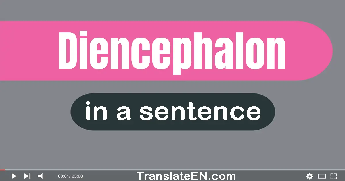 Diencephalon in a sentence