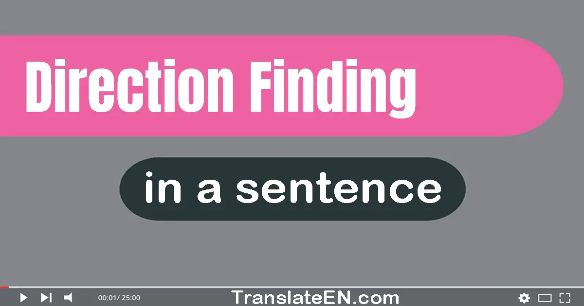 Direction Finding in a sentence