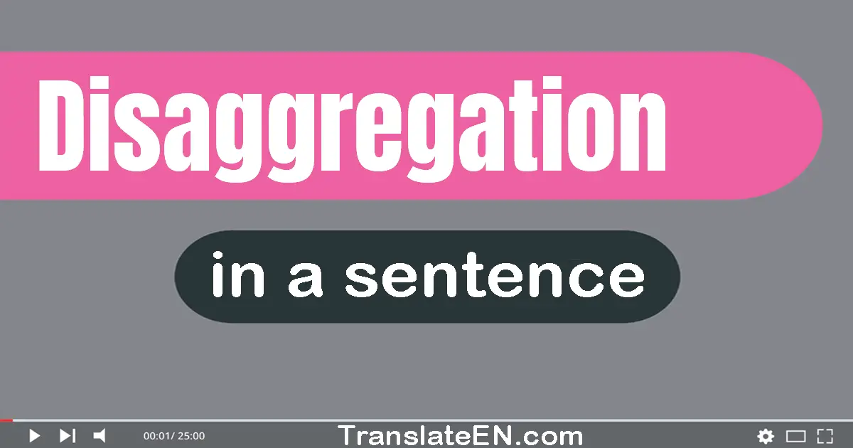 Disaggregation in a sentence