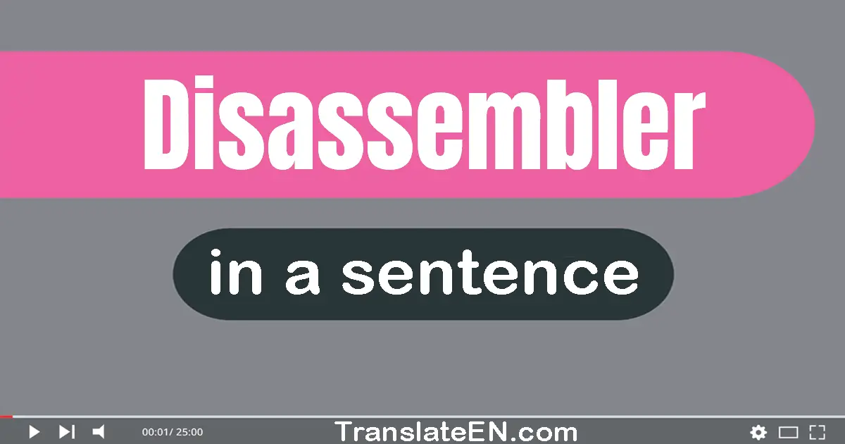 Disassembler in a sentence