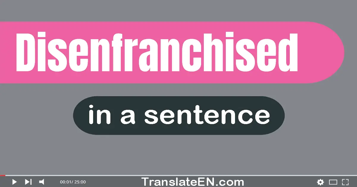 Disenfranchised in a sentence