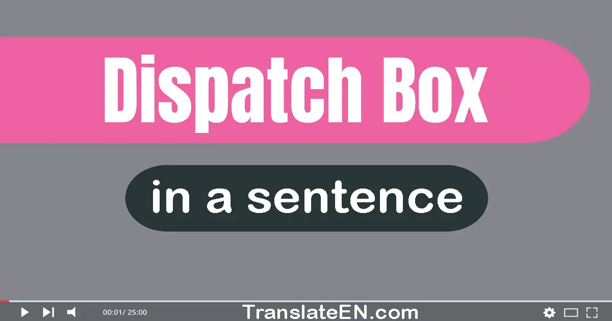 Use "dispatch box" in a sentence | "dispatch box" sentence examples