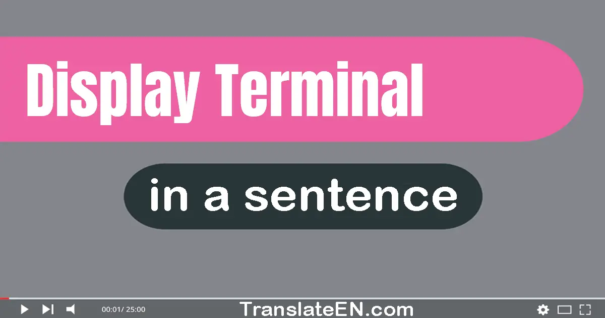 Display Terminal in a sentence