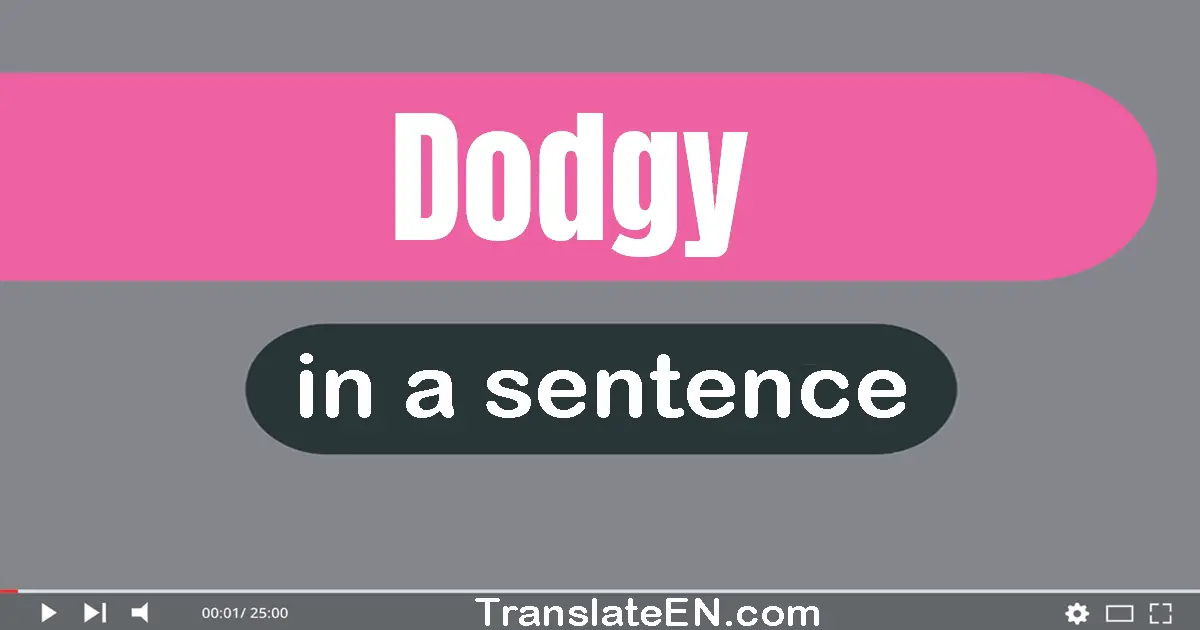 Dodgy in a sentence