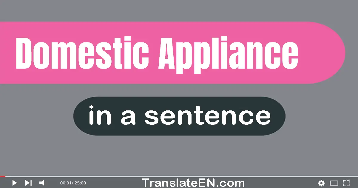 Domestic Appliance in a sentence