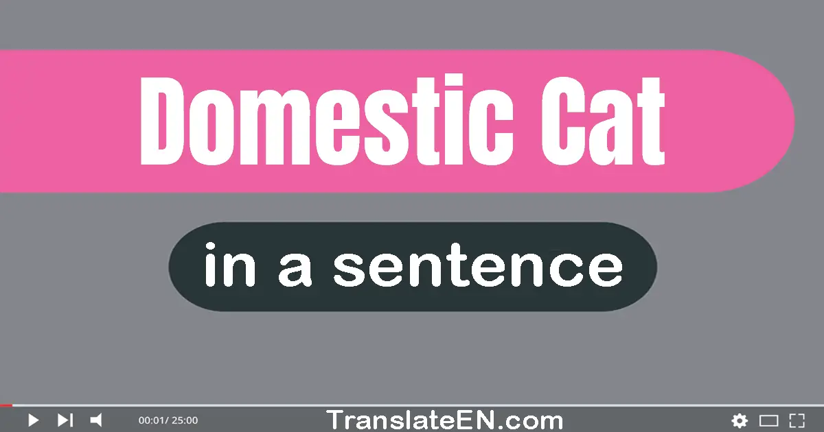 Domestic Cat in a sentence