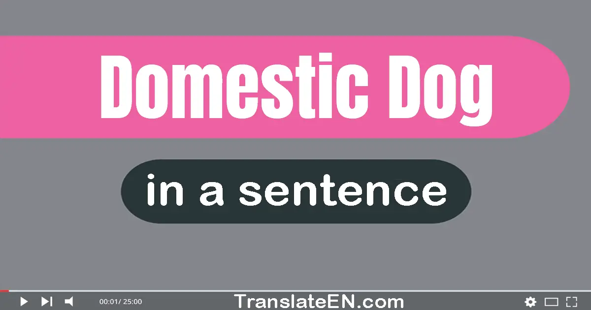 Domestic Dog in a sentence