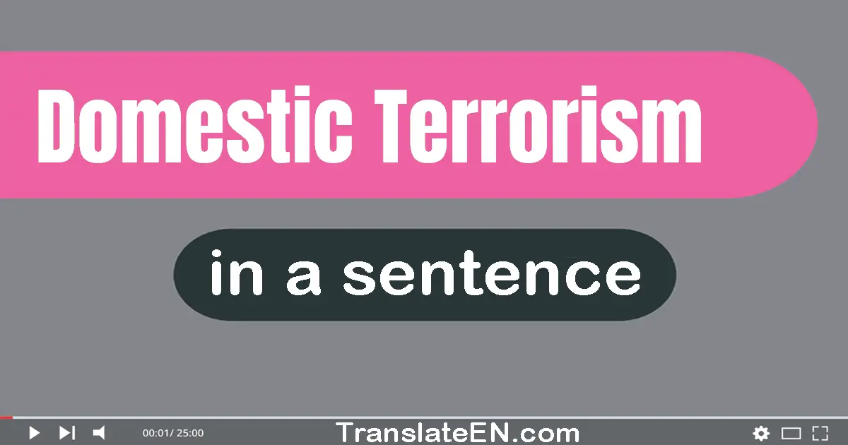 Domestic Terrorism in a sentence