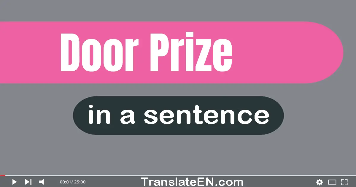 Use "door prize" in a sentence | "door prize" sentence examples