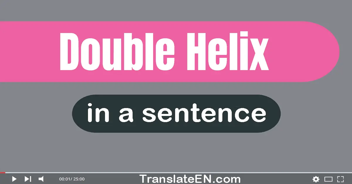 Double Helix in a sentence