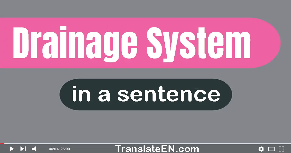 Use "drainage system" in a sentence | "drainage system" sentence examples