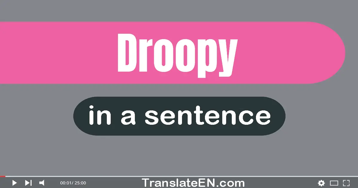 Droopy in a sentence