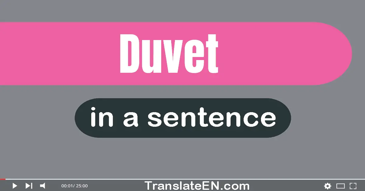 Use "duvet" in a sentence | "duvet" sentence examples