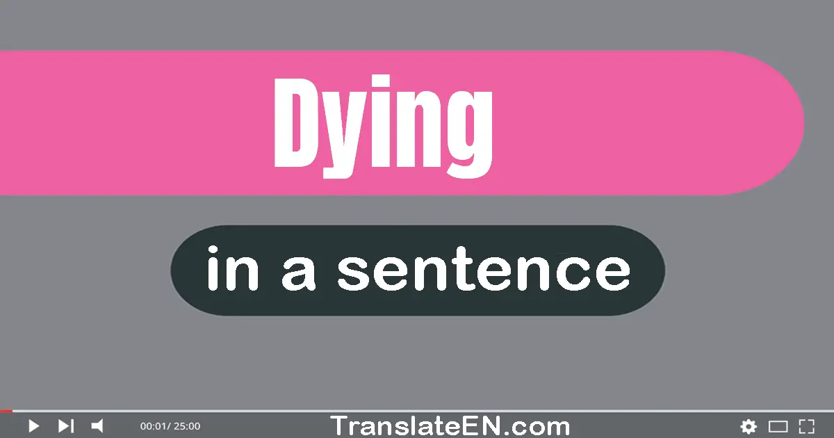 Use "dying" in a sentence | "dying" sentence examples