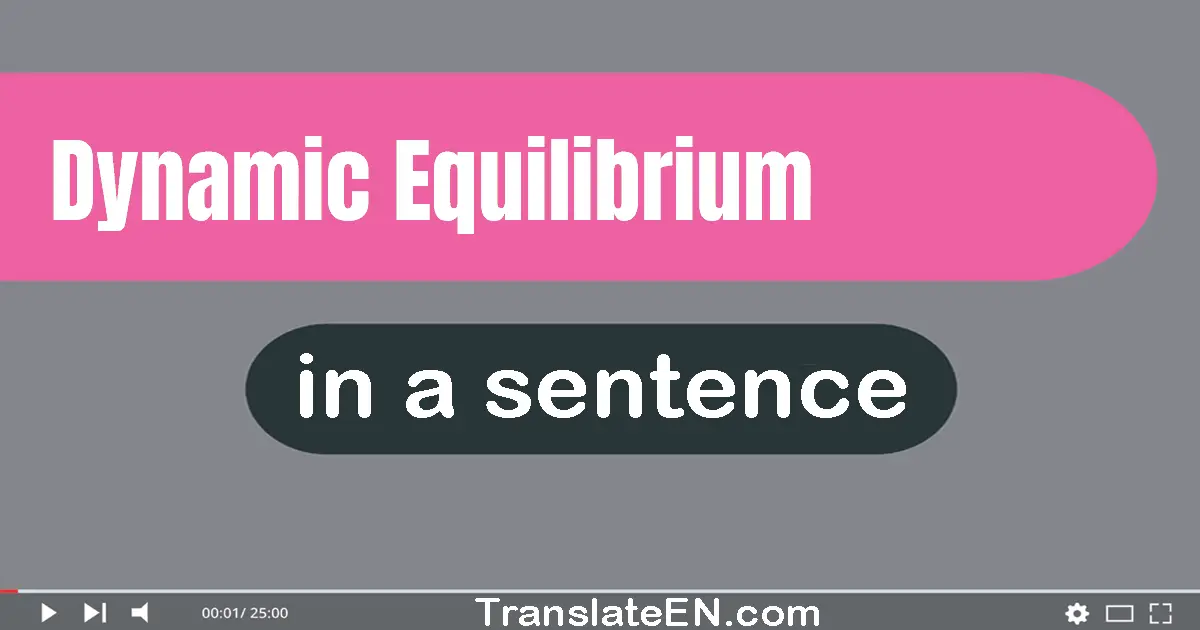 Use "dynamic equilibrium" in a sentence | "dynamic equilibrium" sentence examples