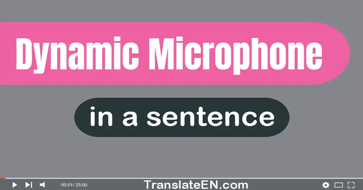 Use "dynamic microphone" in a sentence | "dynamic microphone" sentence examples