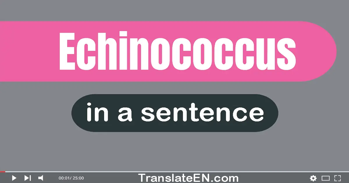 Echinococcus in a sentence