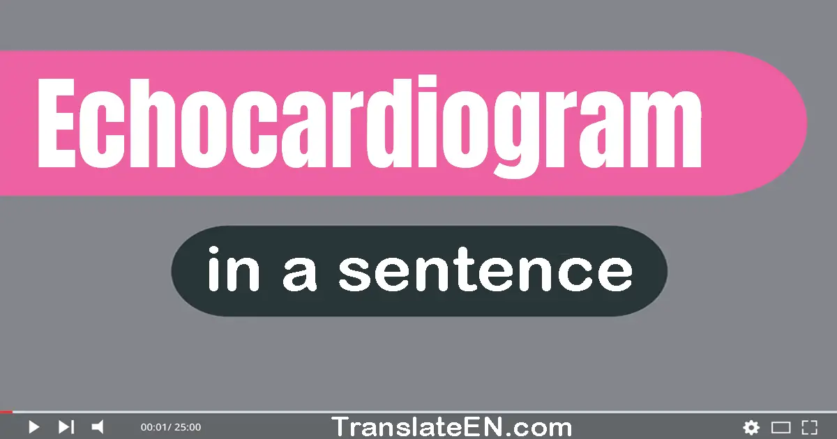 Echocardiogram in a sentence