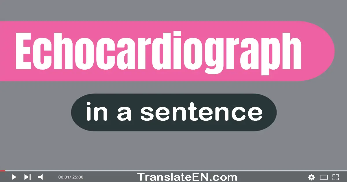 Echocardiograph in a sentence