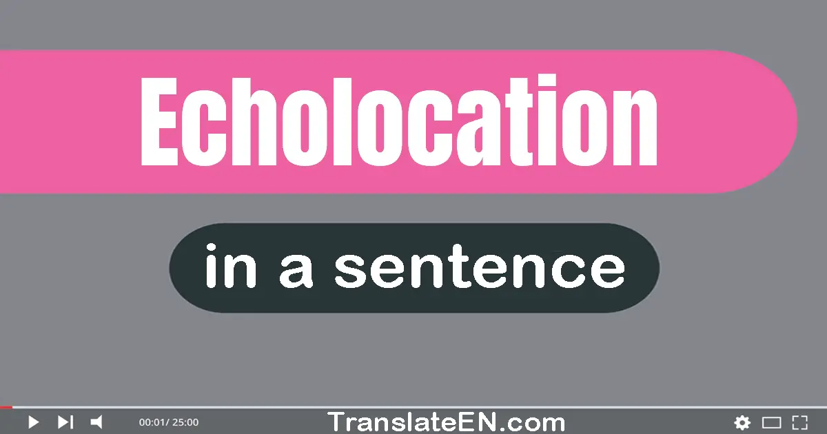 Echolocation in a sentence