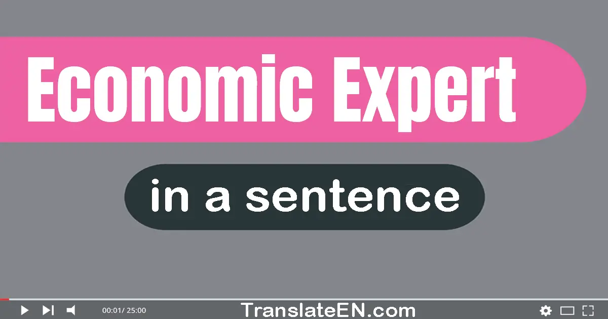 Economic Expert in a sentence