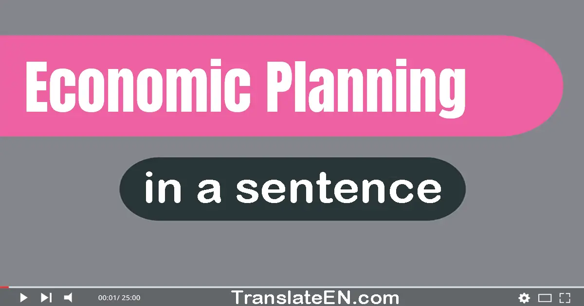 Economic Planning in a sentence