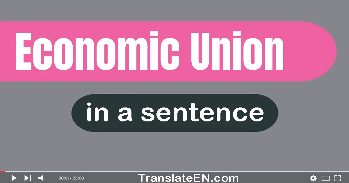 Economic Union in a sentence