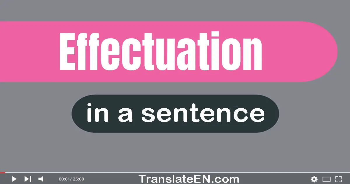 Use "effectuation" in a sentence | "effectuation" sentence examples
