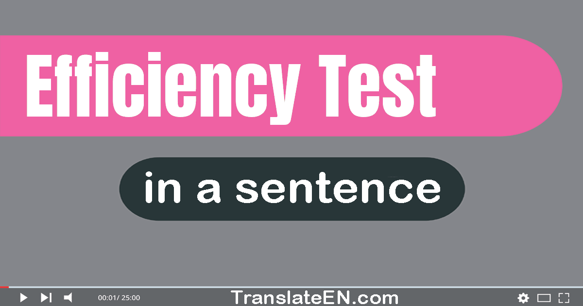 Use "efficiency test" in a sentence | "efficiency test" sentence examples