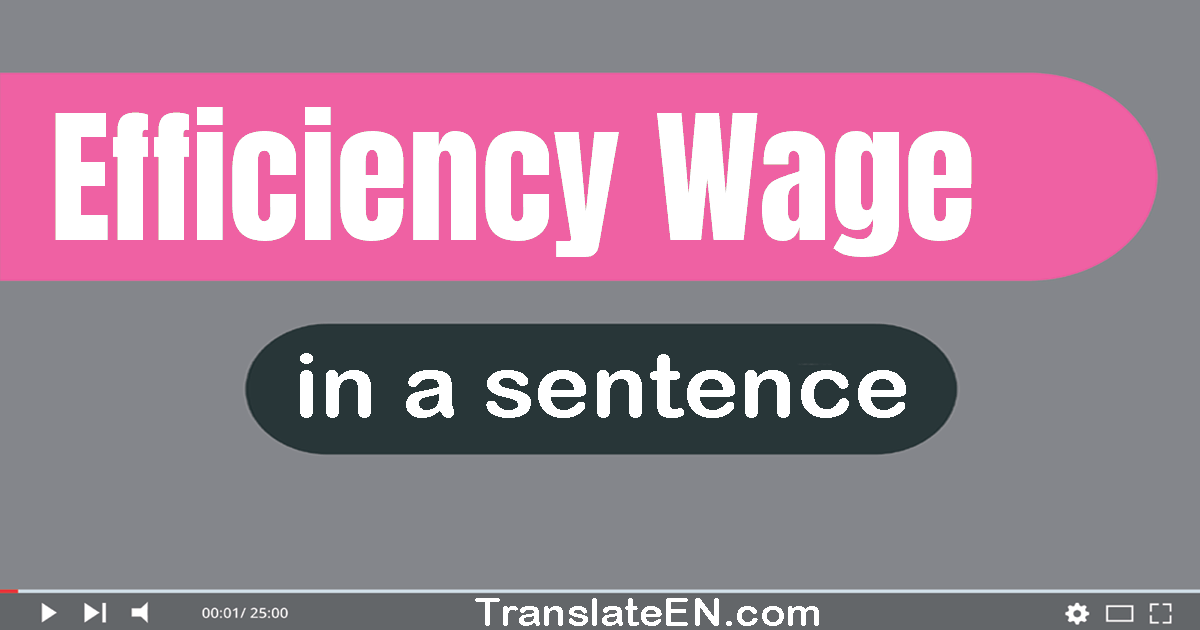 Use "efficiency wage" in a sentence | "efficiency wage" sentence examples