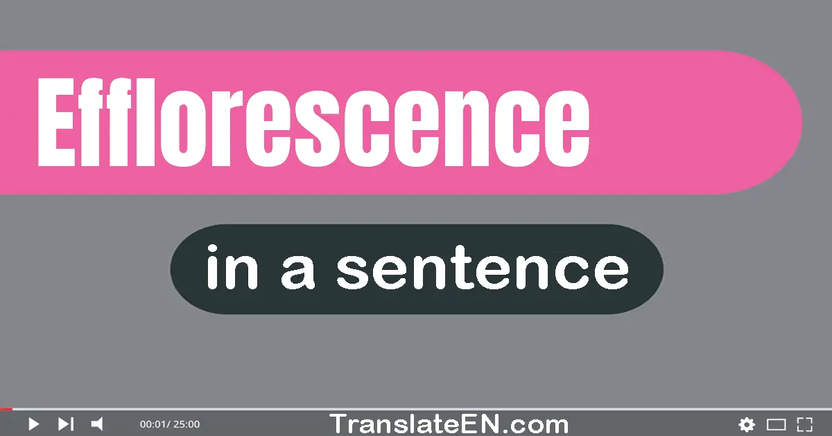 Use "efflorescence" in a sentence | "efflorescence" sentence examples