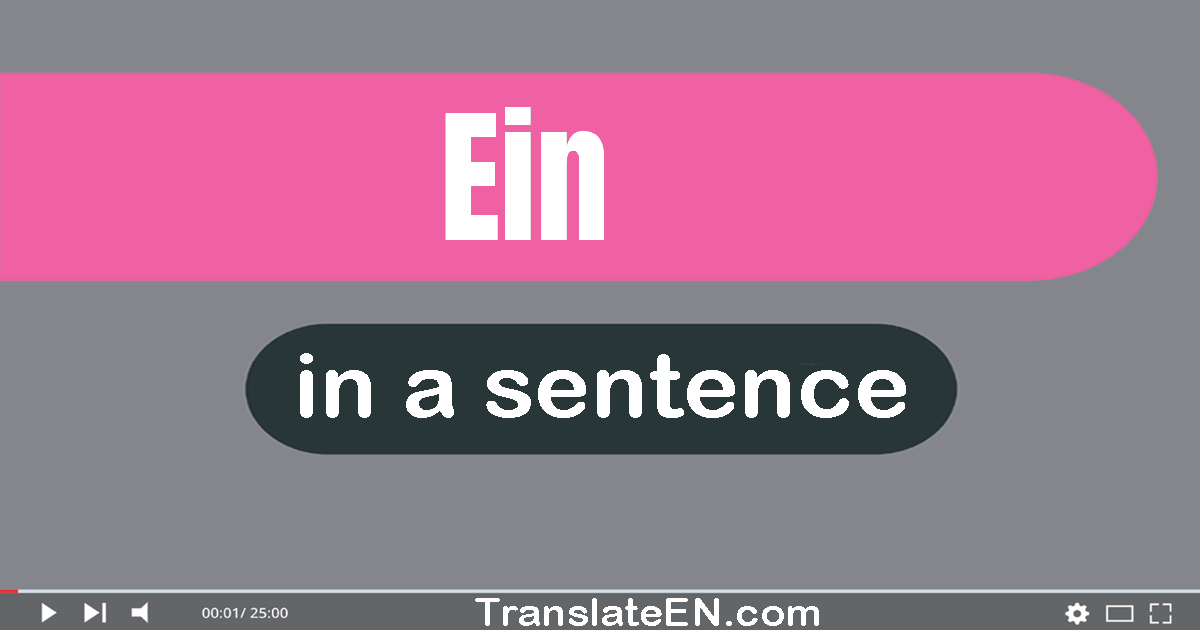 Ein in a sentence