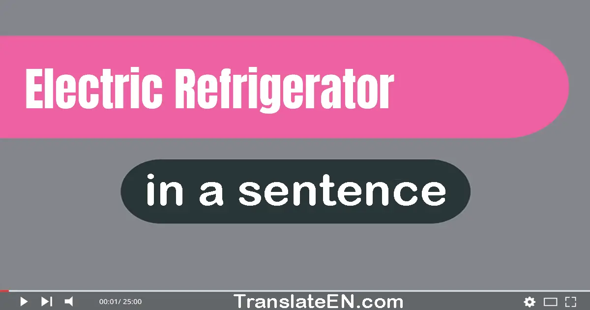 Electric Refrigerator in a sentence