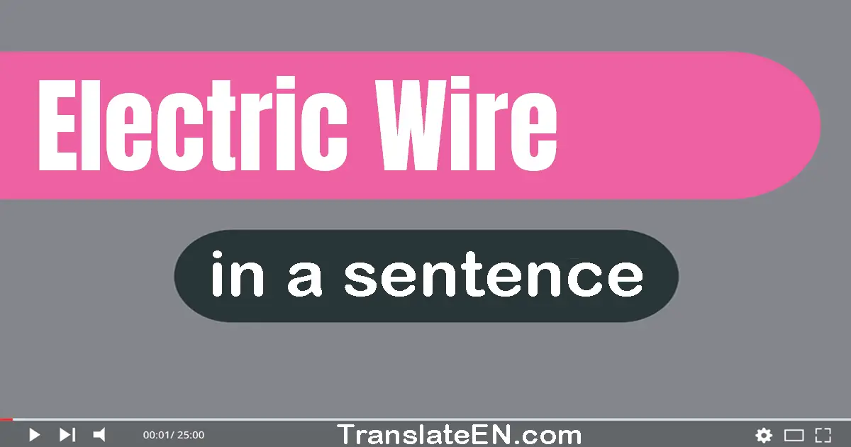 Electric Wire in a sentence