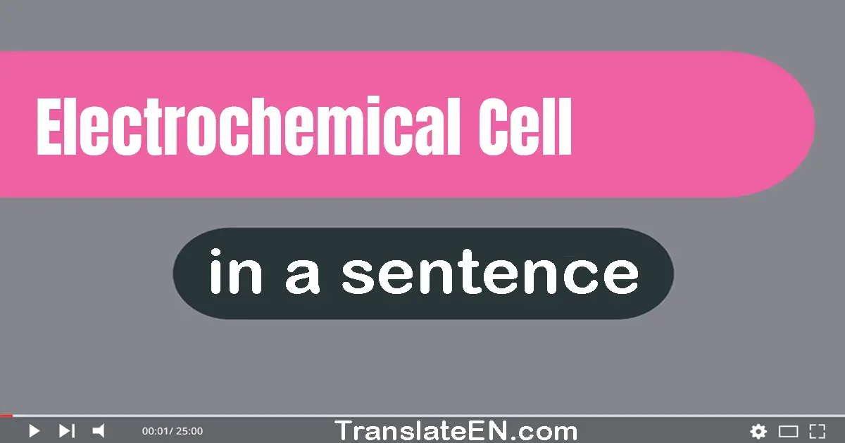 Use "electrochemical cell" in a sentence | "electrochemical cell" sentence examples