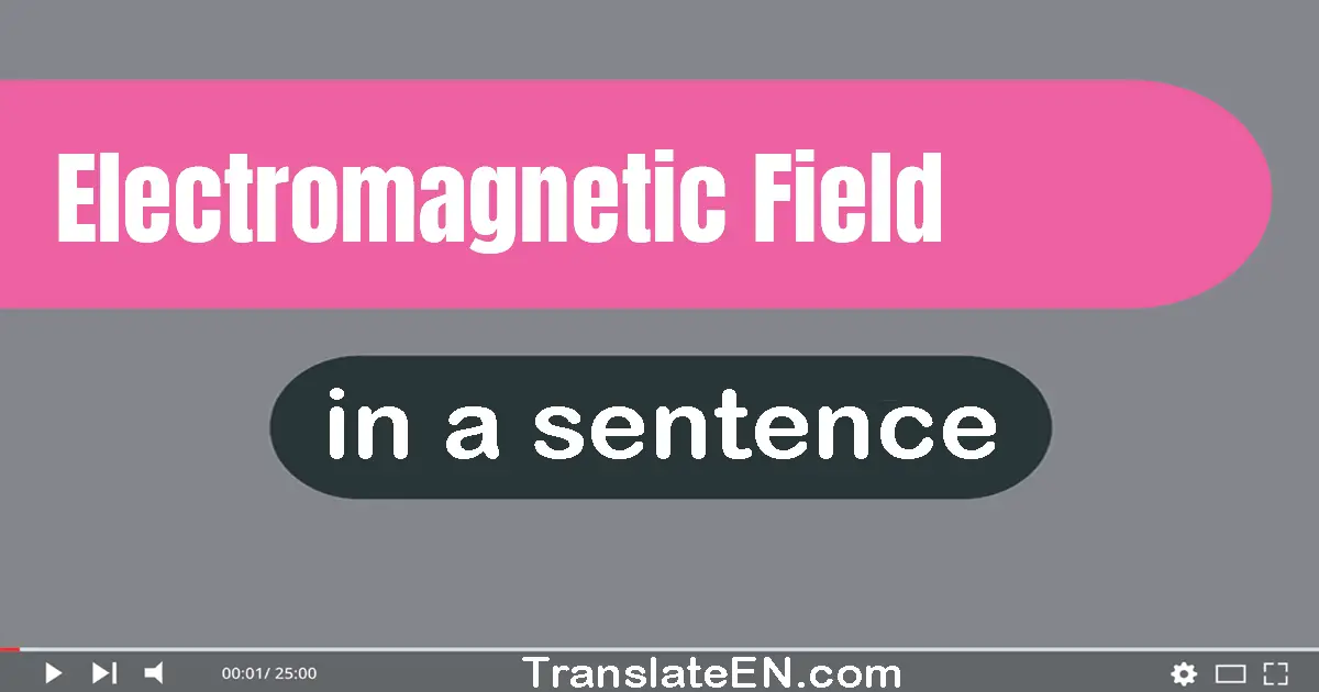 Electromagnetic Field in a sentence