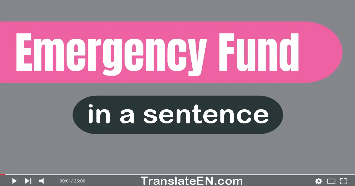 Emergency Fund in a sentence