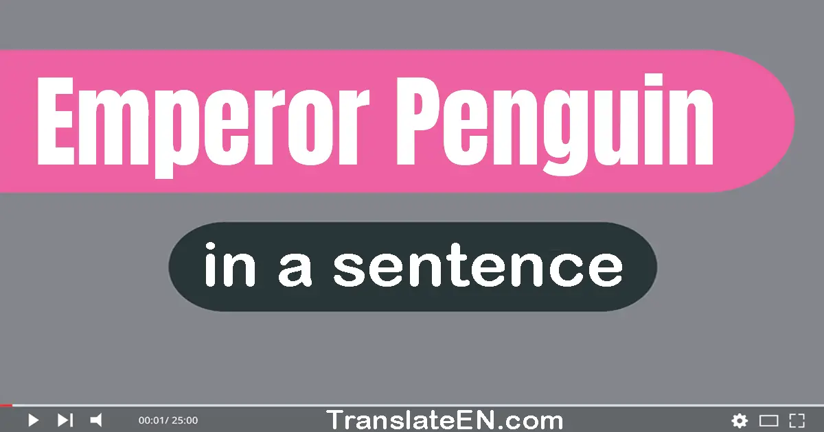 Emperor Penguin in a sentence