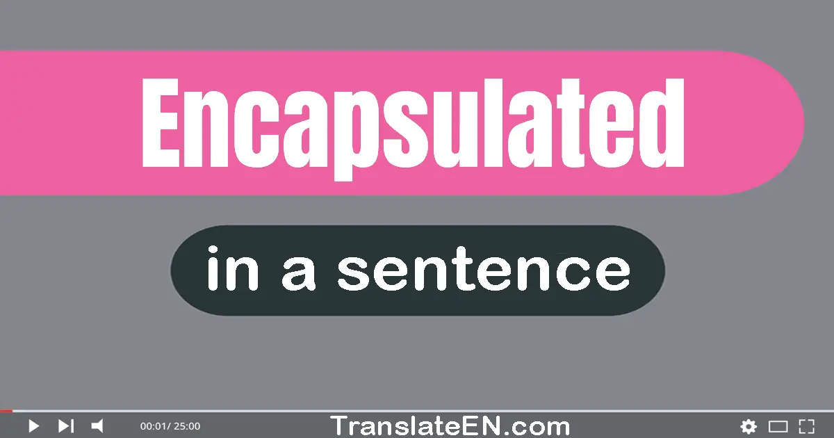 Use "encapsulated" in a sentence | "encapsulated" sentence examples